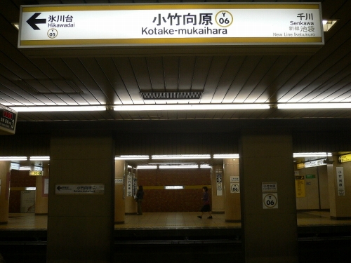 img0019.jpg