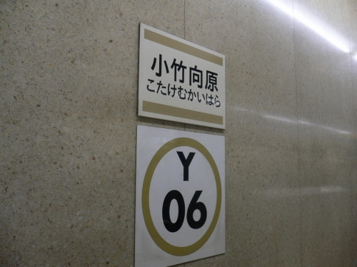 img0037.jpg